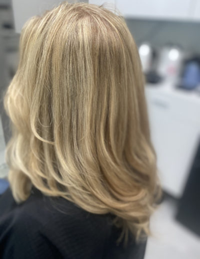 Blue Violet Lake Mary FL